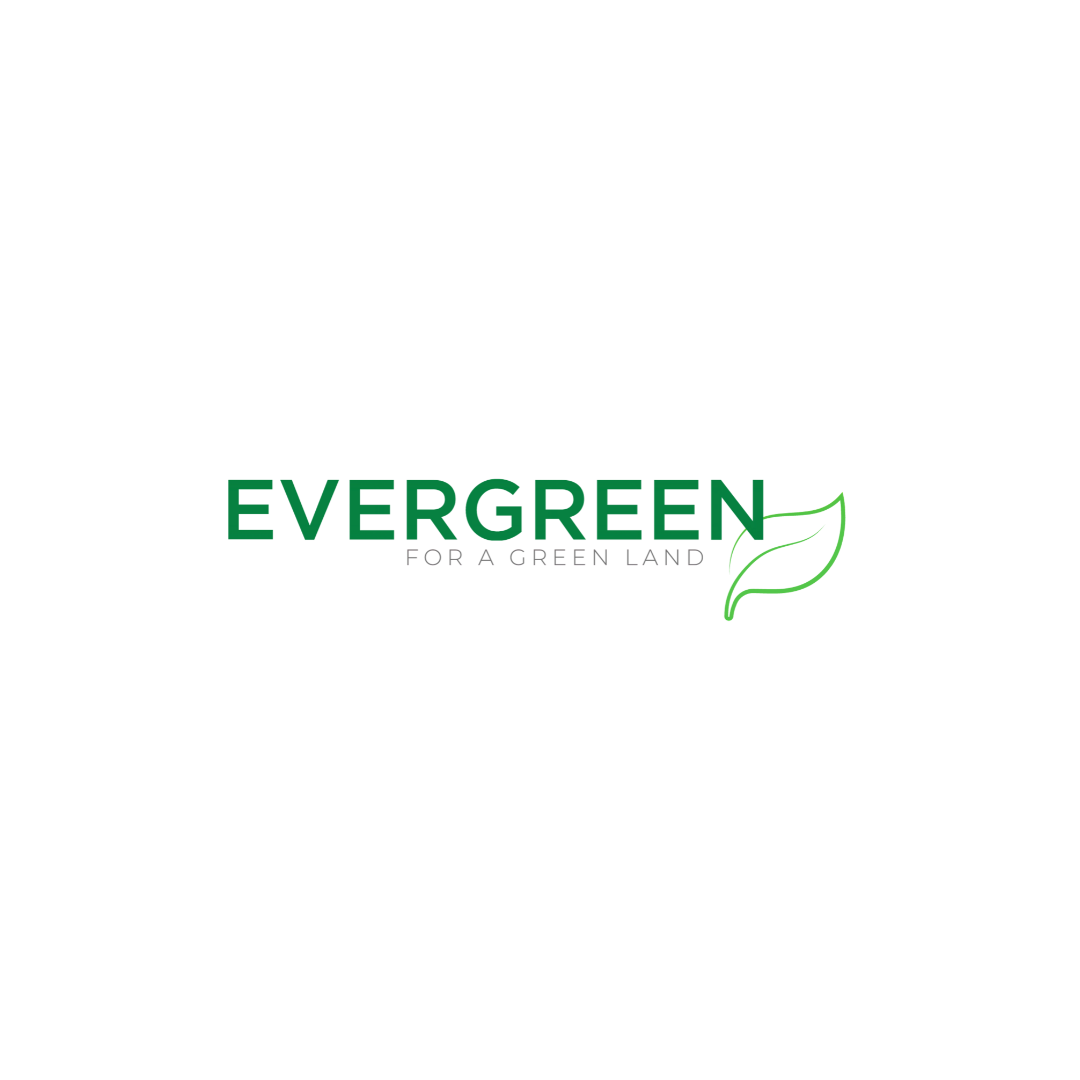 logo 13
